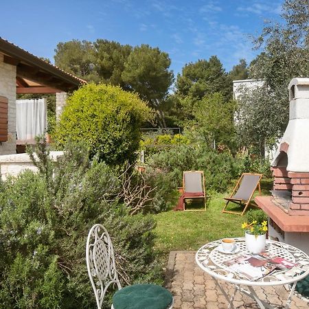 Apartments Valter 881 Novigrad  Zewnętrze zdjęcie